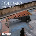 【BUFFALO MUSIC】🇹🇼BUFFALO SOLEMIO505 61鍵 5.0組音 玫瑰木 馬林巴木琴