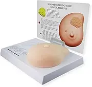 Silicone Breast Model, Female Breast Pathological Lumps Self Test for Doctor-Patient Communication Medical Student Teaching