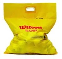 在飛比找Yahoo!奇摩拍賣優惠-(台同運動活力館) Wilson 練習級網球【60顆裝】1袋