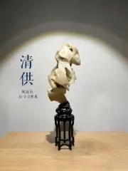 Natural Weathering Modeling Taihu lake LingBi Fengling Stone Steep Cliff 00162-6