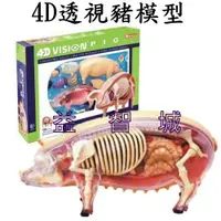 在飛比找蝦皮購物優惠-益智城《4D豬模型/動物模型/教學模型/生物教具玩具/DIY