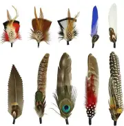 10Pcs Hat Feathers, Natural Feathers Peacock for Hats, Colorful...
