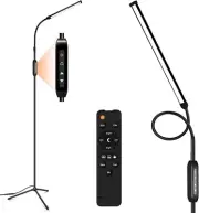 Dragon-Hub Floor Lamp for Office, 15W / 1500LM Dimmable Floor Lamps with Remote.