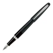 Pilot Cocoon Fountain Pen Titanium F Nib Stainless Steel