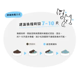 耐吉斯SOLUTION 源野高蛋白 無穀挪威鮭魚配方1.36kg 全齡貓飼料 幼貓飼料 成貓飼料 高齡貓飼料 貓飼料