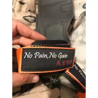 在飛比找蝦皮購物優惠-絕版 二手 早期 成吉思汗 No pain no gain 