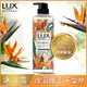 LUX 麗仕 植萃精油香氛沐浴露550g (任選)