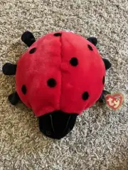Beanie Buddy Lucky Lady Bug Plush (Rump tag 1999) *tag error*