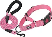 haapaw 2 Packs Martingale Dog Collar with Quick Release Buckle Reflective Dog Training Collars for Small Medium Large Dogs