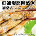 【海肉管家】加拿大鮮凍爆卵柳葉魚X12包(每包9-13隻/約200G±10%)