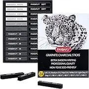 PANDAFLY Compressed Graphite Charcoal Sticks, 24 Pieces Black & White Vine Charcoal Sticks for Drawing, Sketching, Shading, Charcoal Drawing Set for Beginners & Pro Artists