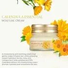 The Face Shop Calendula Moisture Cream With Squalene Fights Acne & Blemishes 50m