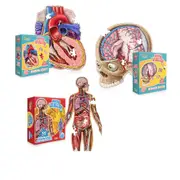 [Genius Games] Dr. Livingston Jr. Kids Puzzle - Brain