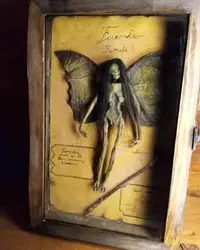 在飛比找Yahoo!奇摩拍賣優惠-跨境新品Mummified fairy in display