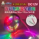 阿囉哈LED總匯_X-288-07(A)_DC12V-四種長度45cm/90cm/135cm/5m-五彩跑馬流星燈條帶背膠