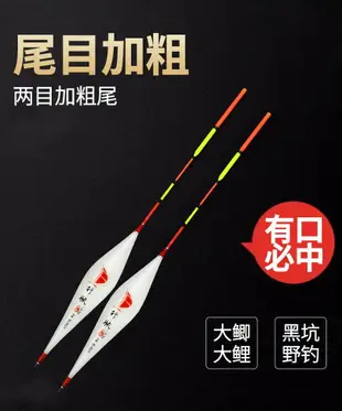 納米鰱?浮漂醒目浮標野釣高靈敏魚漂套裝多功能輕口魚漂漂浮釣具