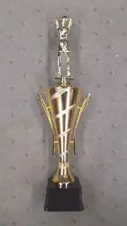 female basketball cup trophy award silver trim gold cup on black base