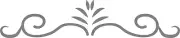 DIY Paint Reusable Mylar Stencil - Flower Floral Pattern Border Swirl Frame v4