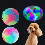 Light Dog Ball Flashing Elastic Ball Glow in the Dark Interactive Pet Toys♘ A1I6