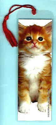 Bookmark White Red Tabby Ginger Kitten Cat Animal Lover Gift Her Him Friend