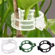100x Tomato Greenhouse Ties Veggie Plant Support Clips Garden trellis Stake