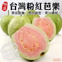 在飛比找Yahoo奇摩購物中心優惠-【果農直配】粉紅蜜芭樂5斤