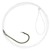 Danielson Hook Snelled Baithldr Sz 2/0 Fishing-Equipment