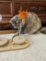 Wooden Cat Toy With 2 Treat Dispenser Balls, One Feather Wand And Two Springs