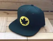 Higher Knowledge Parks N Rec SnapBack BBC Bape Nike Supreme NY Fieg NB