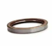 EAI 37x60x12mm FPM/FKM Oil Shaft Rotary Lip Seal w/ Stainless Steel Spring
