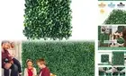 12pcs 10"x10" Grass Wall Panels Backdrop, Artificial Boxwood Hedge Wall for