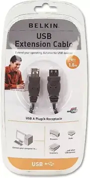 Belkin F3U134V06 6 ft. 4-Pin Mini-B USB 2.0 Cable