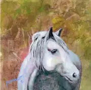 ORIGINAL ART EQUINE PAINTING GRAY HORSE MASA PAPER MOUNTED USA BY SUE FURROW