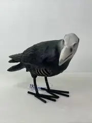 10" Black Crow Half Skeleton Undead Zombie Halloween Decor Prop