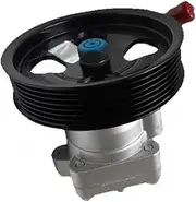 Steering Booster Pump，57100-3J101 57100-3J100 57100 3J101 57100 3J100 571003J101，Compatible For Hyundai Veracruz Sorento 3.8