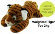 2kg Weighted Plush Toy | Autism Sensory Support | Cuddly Toy for Sleep & Focus