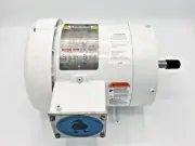 LEESON WASHGUARD 116779.00 C6T34WK12C 3/4/1/2HP 3450/2850RPM 3PHASE PUMP MOTOR
