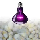 Pet Light Basking Spot Lamp Reptile Night Light Bulb Heat Lamp Bulb for