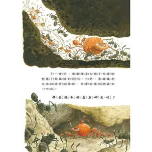 法布爾生態營8 小偵察兵紅螞蟻【金石堂】