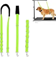 ASOCEA Dog Grooming Belly Strap Dogs Grooming Table Arm Extender Loop with D-Rings Adjustable Bathing Restraint Leash No Sit Haunch Holder for Small & Medium Dog Cat Hair Cutting Washing (Green)