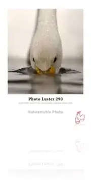 Hahnemühle Photo Luster 290 gsm - Roll