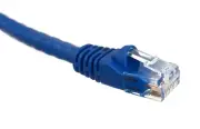 50 PACK LOT 25FT CAT6 Ethernet Patch Cable Blue RJ45 550Mhz UTP 7.5M