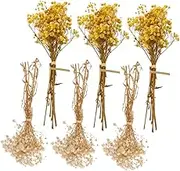 NOLITOY Vivid Dried Breath Flowers Bouquet Natural Home Decor for Wedding Party Centerpiece