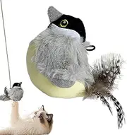 Iouyjiu Interactive Cat Toy, Indoor Bird Toy, Sound Kitten Toy, Realistic Chirping Sounds Colorful Feather Design, Multicolor Pack for Pets and Families, 3.94 x 3.94 x 3.94 inches