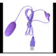 網愛族必備 USB 微調功能高速率造型震動跳蛋 標準款