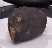 WILUNA METEORITE H5 CHONDRITE, FELL 1967. 71.30 grams, Western Australia MT68