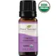 有機真正薰衣草精油Lavender Organic Essential Oil 10 mL ｜美國 Plant Therapy 精油