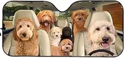 Windshield Sun Shade - Windscreen Sun Shade, Car Windshield Sun Shade | Foldable Cute Funny Pattern Sunshade, Automotive Ray Protection Block Parasol, Sunshades Visor Protector for Keep Vehicle Cool