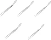 5pcs Potted Tweezers Scraper Plant Tweezers Bonsai Long Tweezers Bonsai Tweezers Straight Tweezers Long Bonsai Tweezers with Handles Bonsai Tree Bonsai Tools Stainless Steel Silver
