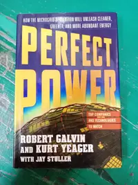 在飛比找露天拍賣優惠-PERFECT POWER Robert Galvin 97